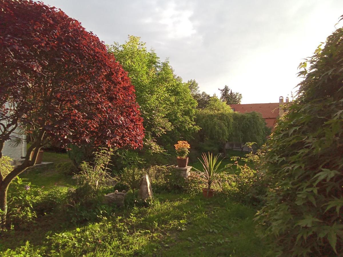 Pension Baron Schoeneck Karlsbad Exteriör bild