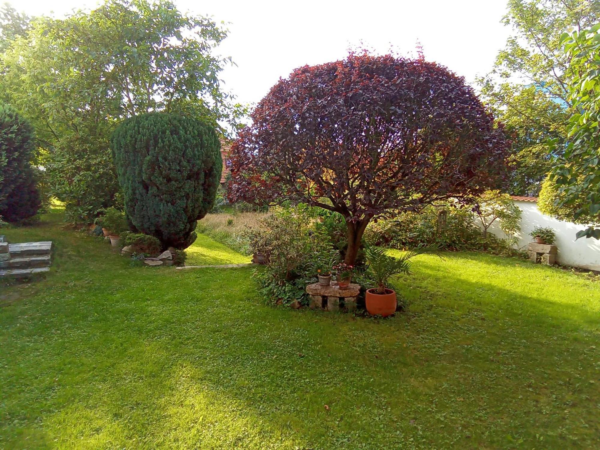 Pension Baron Schoeneck Karlsbad Exteriör bild